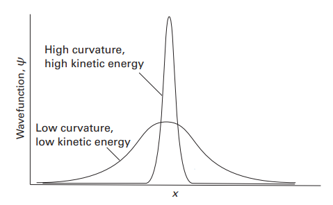 The average kinetic energy of a particle can be
        inferred from the average curvature of the wavefunction. This
        figure shows two wavefunctions: the sharply curved function
        corresponds to a higher kinetic energy than the less sharply
        curved function.